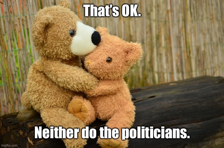condolance caring consolation teddy bears | That’s OK. Neither do the politicians. | image tagged in condolance caring consolation teddy bears | made w/ Imgflip meme maker