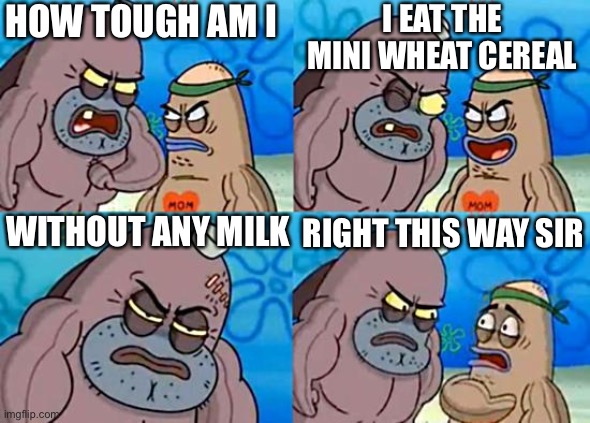 Welcome to the Salty Spitoon | HOW TOUGH AM I; I EAT THE MINI WHEAT CEREAL; WITHOUT ANY MILK; RIGHT THIS WAY SIR | image tagged in woman yelling at cat,maury lie detector,oh wow are you actually reading these tags,stop reading the tags | made w/ Imgflip meme maker