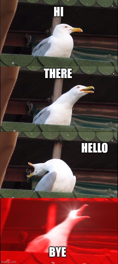 It's a not a good quality meme but its good,i think |  HI; THERE; HELLO; BYE | image tagged in memes,inhaling seagull | made w/ Imgflip meme maker