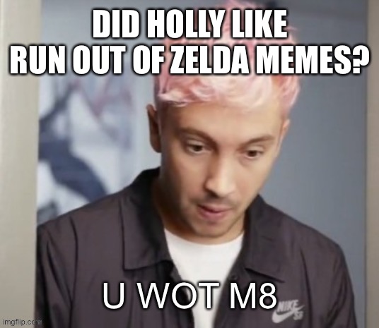 Tyler Joseph u wot m8 | DID HOLLY LIKE RUN OUT OF ZELDA MEMES? | image tagged in tyler joseph u wot m8 | made w/ Imgflip meme maker