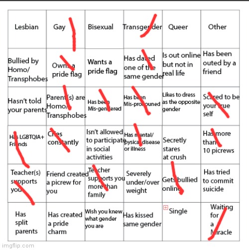 Im actually androromantic asexual but yeah | image tagged in lgbtqia bingo | made w/ Imgflip meme maker