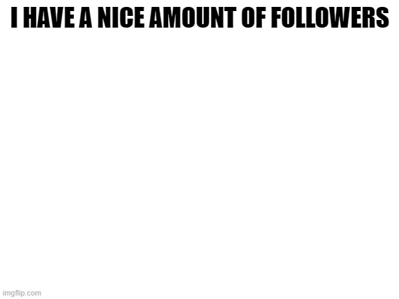 Blank White Template | I HAVE A NICE AMOUNT OF FOLLOWERS | image tagged in blank white template | made w/ Imgflip meme maker