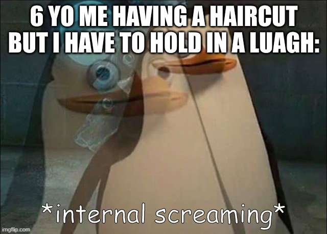 Private Internal Screaming | 6 YO ME HAVING A HAIRCUT BUT I HAVE TO HOLD IN A LUAGH: | image tagged in private internal screaming | made w/ Imgflip meme maker