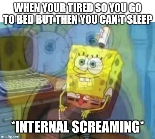 Insert funny name here | WHEN YOUR TIRED SO YOU GO TO BED BUT THEN YOU CAN'T SLEEP; *INTERNAL SCREAMING* | image tagged in internal screaming | made w/ Imgflip meme maker