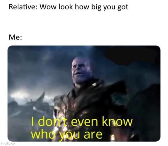 Who da heck are you | image tagged in thanos,relatives,funny | made w/ Imgflip meme maker