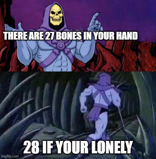 Lonely Skelator | THERE ARE 27 BONES IN YOUR HAND; 28 IF YOUR LONELY | image tagged in skelator saying something funny then running away,nsfw | made w/ Imgflip meme maker