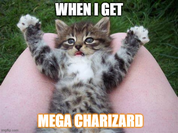 Shocked cat | WHEN I GET; MEGA CHARIZARD | image tagged in cat,charizard,funny | made w/ Imgflip meme maker