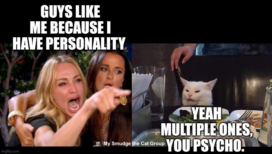 GUYS LIKE ME BECAUSE I HAVE PERSONALITY; YEAH MULTIPLE ONES, YOU PSYCHO. | image tagged in smudge the cat | made w/ Imgflip meme maker