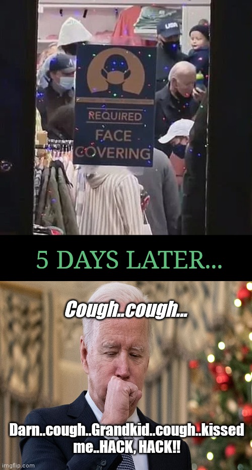 Rules for thee but not for me: Biden blames toddler for his sick cough | 5 DAYS LATER... Cough..cough... Darn..cough..Grandkid..cough..kissed me..HACK, HACK!! | image tagged in joe biden,wear a mask,blame game,sickness,hypocrisy,rules for thee but not for me | made w/ Imgflip meme maker
