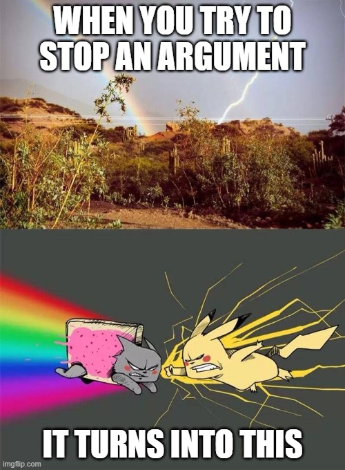 argument trouble | WHEN YOU TRY TO
STOP AN ARGUMENT; IT TURNS INTO THIS | image tagged in nyan cat,pokemon | made w/ Imgflip meme maker