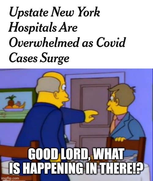 :( | GOOD LORD, WHAT IS HAPPENING IN THERE!? | image tagged in good lord steamed hams,upstate ny,coronavirus,covid-19,hospital,memes | made w/ Imgflip meme maker