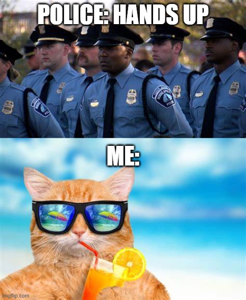 police + cat | POLICE: HANDS UP; ME: | image tagged in cat,police | made w/ Imgflip meme maker