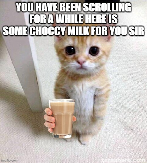 Cute Cat | YOU HAVE BEEN SCROLLING FOR A WHILE HERE IS SOME CHOCCY MILK FOR YOU SIR | image tagged in memes,cute cat | made w/ Imgflip meme maker