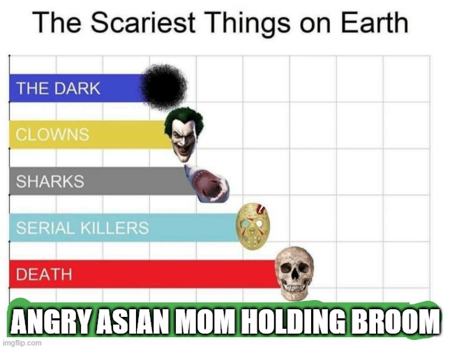 scariest things on earth | ANGRY ASIAN MOM HOLDING BROOM | image tagged in scariest things on earth | made w/ Imgflip meme maker