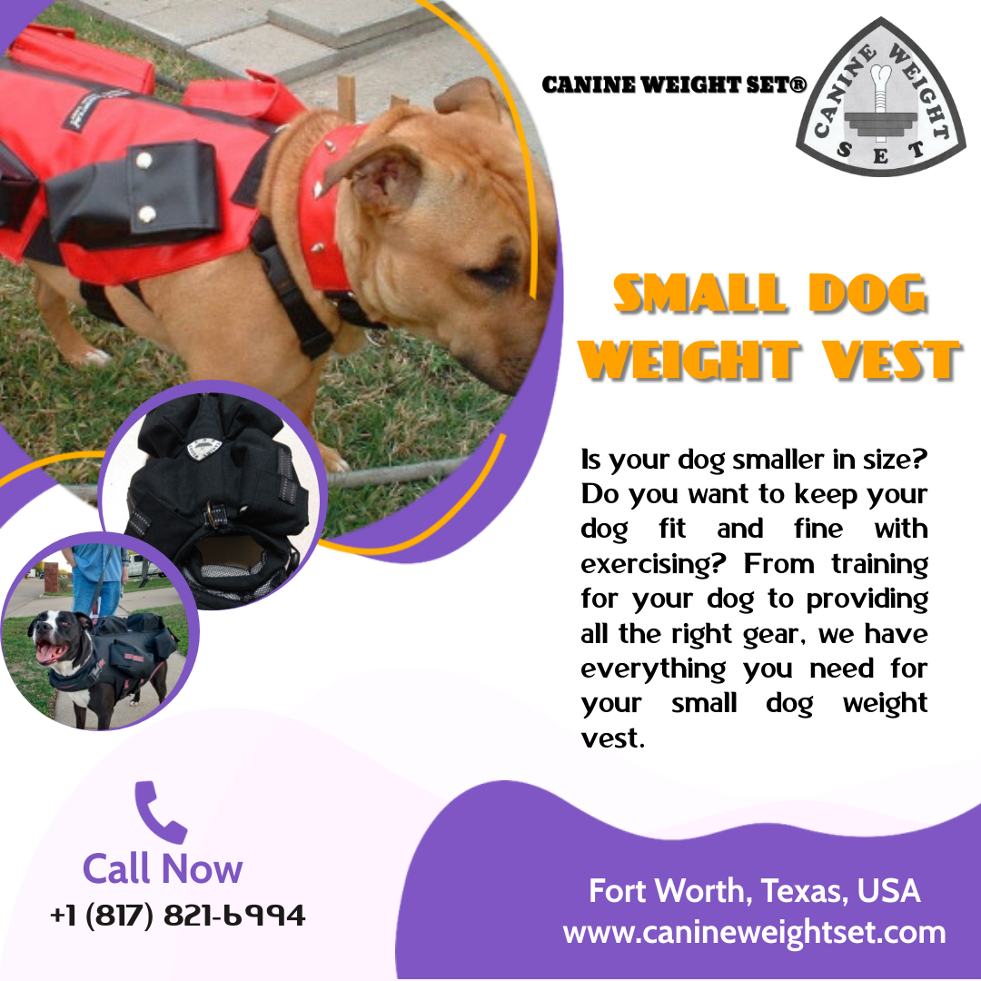 Small Dog Weight Vest Blank Meme Template