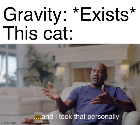 ...and I took that personally | Gravity: *Exists*
This cat: | image tagged in and i took that personally | made w/ Imgflip meme maker