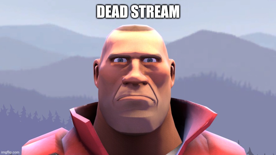 soldier | DEAD STREAM | image tagged in soldier | made w/ Imgflip meme maker