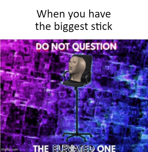 Do not question the elevated one | When you have the biggest stick | image tagged in do not question the elevated one,memes,funny | made w/ Imgflip meme maker
