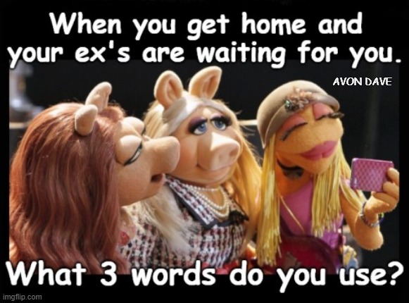 WHAT 3 WORDS? |  AVON DAVE | image tagged in muppets,ex's,girlfriends,wives,wife,partners | made w/ Imgflip meme maker
