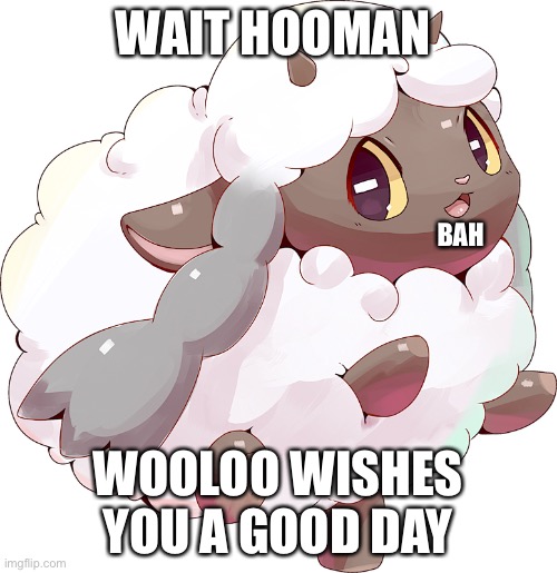 What wooloo isn’t just evil :( | WAIT HOOMAN; BAH; WOOLOO WISHES YOU A GOOD DAY | image tagged in pokemon,memes,wholesome | made w/ Imgflip meme maker