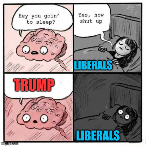 They're so triggered by him... LOL | TRUMP; LIBERALS; LIBERALS | image tagged in hey you going to sleep,trump,tds,let's go brandon,lgbfjb,seriously stop reading the tags and just look at the meme | made w/ Imgflip meme maker