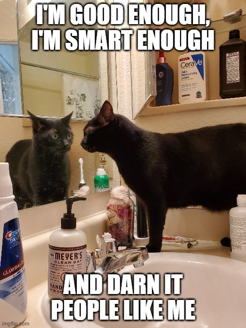 self affirmations | I'M GOOD ENOUGH, I'M SMART ENOUGH; AND DARN IT PEOPLE LIKE ME | image tagged in self affirmations,catatude,cats | made w/ Imgflip meme maker