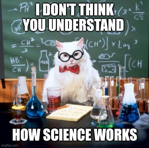 Chemistry Cat Meme | I DON'T THINK YOU UNDERSTAND HOW SCIENCE WORKS | image tagged in memes,chemistry cat | made w/ Imgflip meme maker