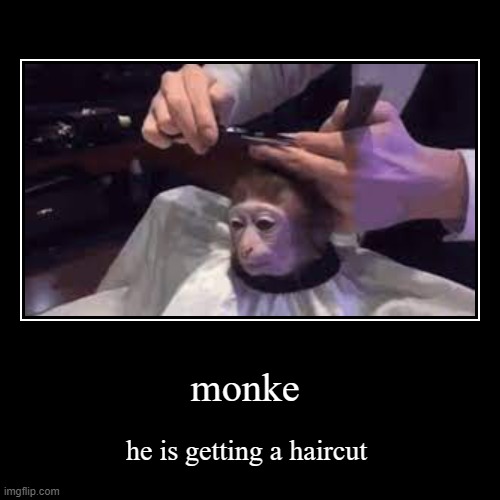 image tagged in funny,demotivationals | made w/ Imgflip demotivational maker