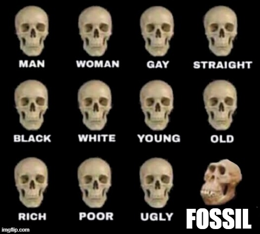 Yes | FOSSIL | image tagged in idiot skull | made w/ Imgflip meme maker