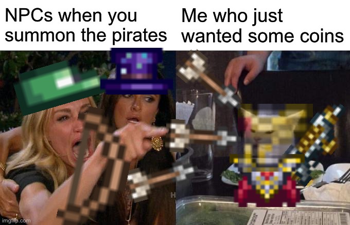 Terraria | NPCs when you summon the pirates; Me who just wanted some coins | image tagged in memes,woman yelling at cat | made w/ Imgflip meme maker