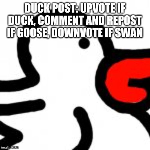 DUCKPOST | DUCK POST: UPVOTE IF DUCK, COMMENT AND REPOST IF GOOSE, DOWNVOTE IF SWAN | image tagged in duckpost creator the depressionist,duck,upvote if you agree,goose,democracy | made w/ Imgflip meme maker