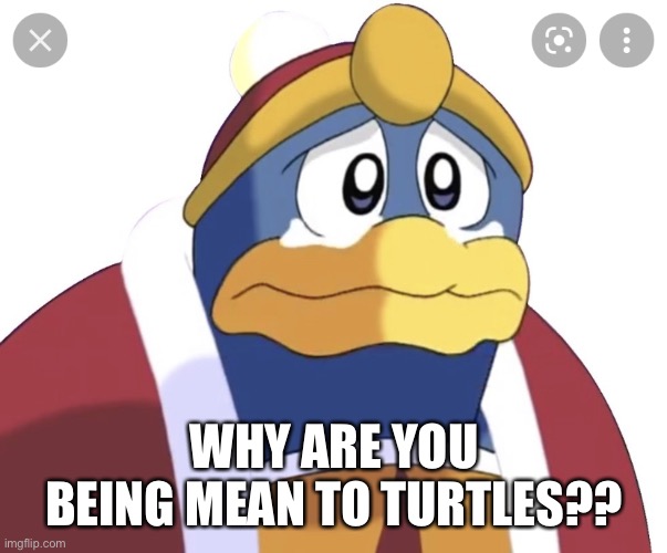 King Dedede sad | WHY ARE YOU BEING MEAN TO TURTLES?? | image tagged in king dedede sad | made w/ Imgflip meme maker