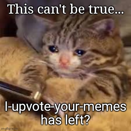 Create meme press f cat, press f to pay respect cat, cat