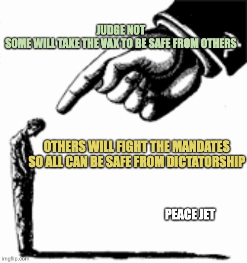 Judge Not | JUDGE NOT
SOME WILL TAKE THE VAX TO BE SAFE FROM OTHERS; OTHERS WILL FIGHT THE MANDATES SO ALL CAN BE SAFE FROM DICTATORSHIP; PEACE JET | image tagged in braveheart freedom,religious freedom,it's all coming together,i love you this much | made w/ Imgflip meme maker
