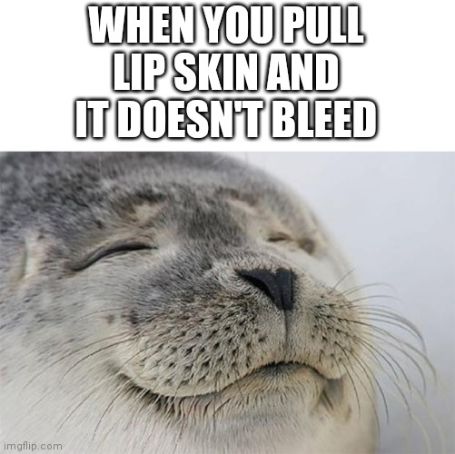 Satisfied Seal | WHEN YOU PULL LIP SKIN AND IT DOESN'T BLEED | image tagged in memes,satisfied seal | made w/ Imgflip meme maker