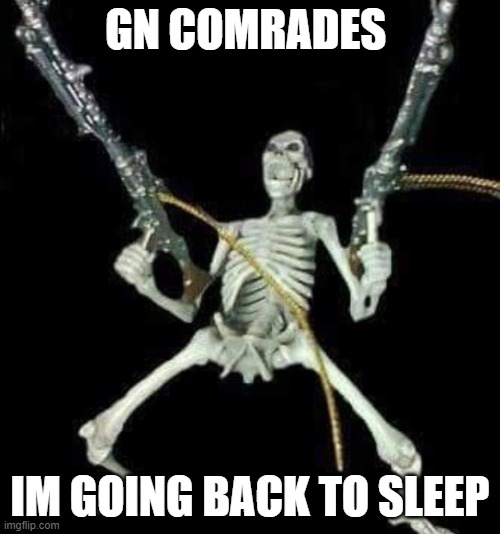 skleetons | GN COMRADES; IM GOING BACK TO SLEEP | image tagged in skleetons | made w/ Imgflip meme maker