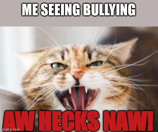 The Hissing Cat | ME SEEING BULLYING; AW HECKS NAW! | image tagged in the hissing cat | made w/ Imgflip meme maker