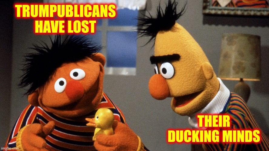 Apparently | TRUMPUBLICANS HAVE LOST; THEIR DUCKING MINDS | image tagged in ernie and bert discuss rubber duckie,memes,trumpublican terrorists,scumbag republicans,losers,lock them up | made w/ Imgflip meme maker