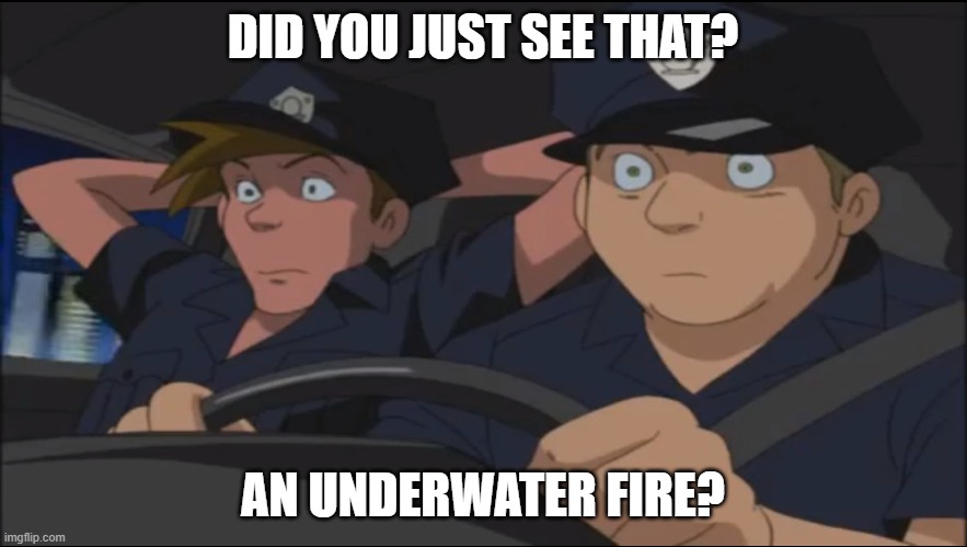 Did You Just See That - Sonic X | DID YOU JUST SEE THAT? AN UNDERWATER FIRE? | image tagged in did you just see that - sonic x | made w/ Imgflip meme maker