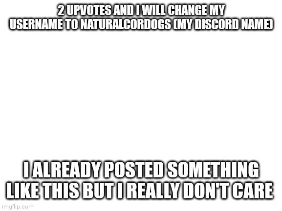 Blank White Template | 2 UPVOTES AND I WILL CHANGE MY USERNAME TO NATURALCORDOGS (MY DISCORD NAME); I ALREADY POSTED SOMETHING LIKE THIS BUT I REALLY DON'T CARE | image tagged in blank white template | made w/ Imgflip meme maker