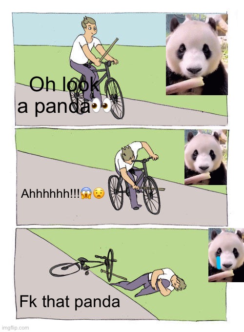 Bike Fall | Oh look a panda👀; Ahhhhhh!!!😱😧; Fk that panda | image tagged in memes,bike fall | made w/ Imgflip meme maker