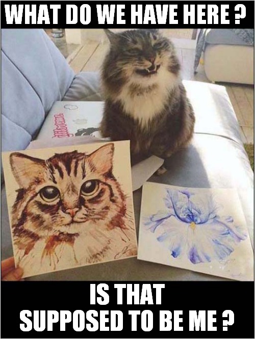 Cat Art Critic ! | WHAT DO WE HAVE HERE ? IS THAT SUPPOSED TO BE ME ? | image tagged in cats,art,criticism | made w/ Imgflip meme maker