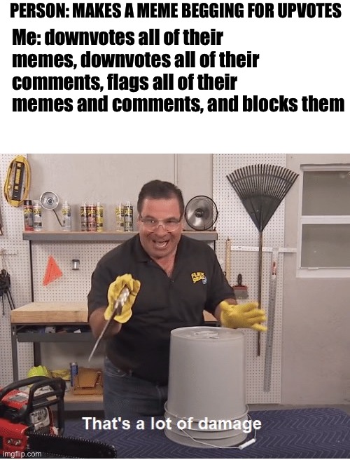 It also is a lot of time | PERSON: MAKES A MEME BEGGING FOR UPVOTES; Me: downvotes all of their memes, downvotes all of their comments, flags all of their memes and comments, and blocks them | image tagged in thats a lot of damage | made w/ Imgflip meme maker