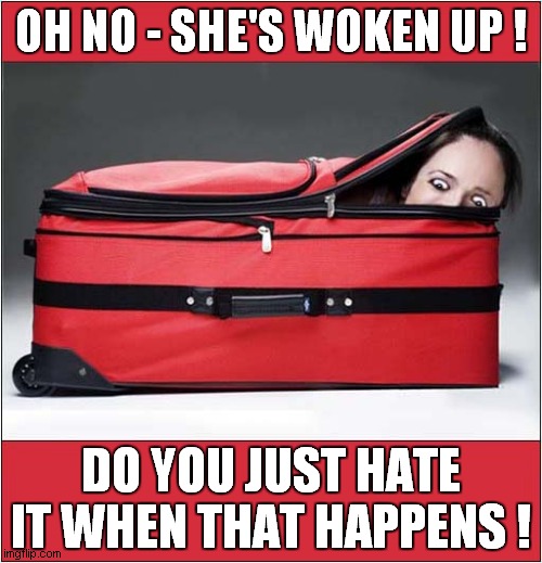 Not Again ! | OH NO - SHE'S WOKEN UP ! DO YOU JUST HATE IT WHEN THAT HAPPENS ! | image tagged in body,suitcase,dark humour | made w/ Imgflip meme maker
