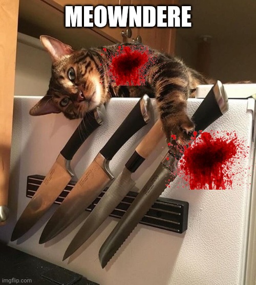 Yandere cat | MEOWNDERE | image tagged in cat with knives | made w/ Imgflip meme maker