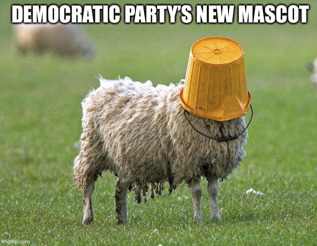 stupid sheep | DEMOCRATIC PARTY’S NEW MASCOT | image tagged in stupid sheep | made w/ Imgflip meme maker