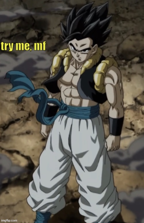 haha i remember making this >:) | image tagged in gogeta try me | made w/ Imgflip meme maker