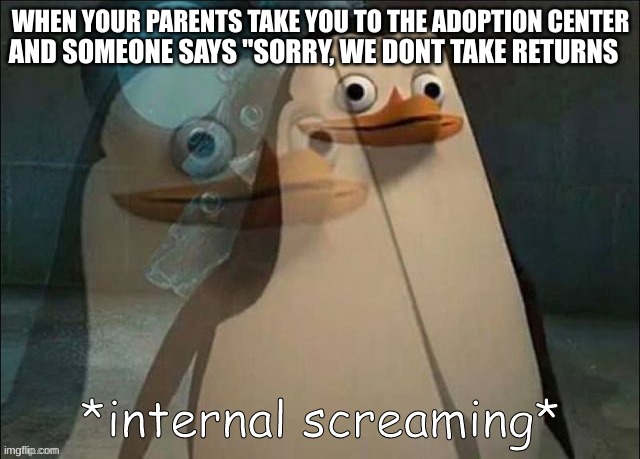 internal screaming | AND SOMEONE SAYS "SORRY, WE DONT TAKE RETURNS; WHEN YOUR PARENTS TAKE YOU TO THE ADOPTION CENTER | image tagged in private internal screaming | made w/ Imgflip meme maker