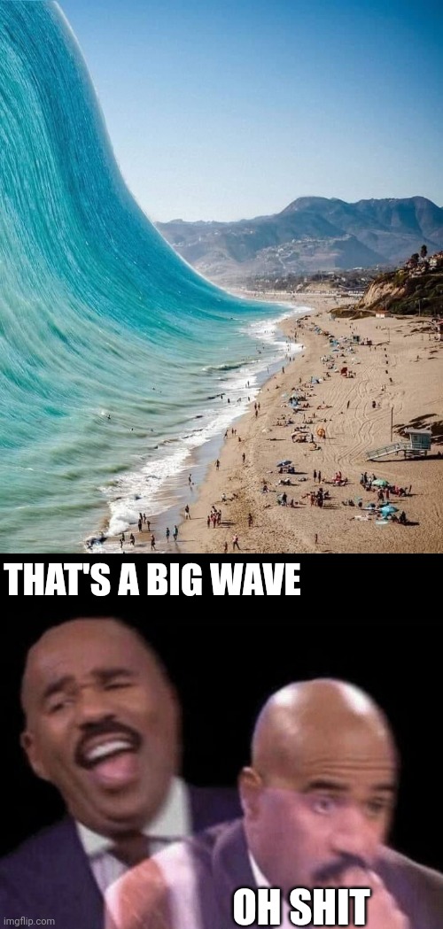 IF THAT WERE REAL, THEY'D ALL BE DEAD | THAT'S A BIG WAVE; OH SHIT | image tagged in oh shit,ocean,waves,photoshop | made w/ Imgflip meme maker
