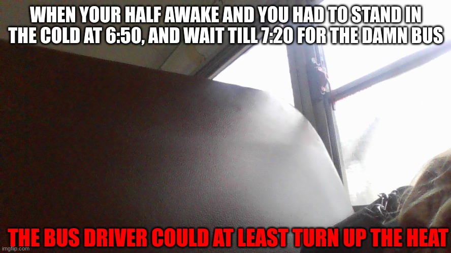 WHEN YOUR HALF AWAKE AND YOU HAD TO STAND IN THE COLD AT 6:50, AND WAIT TILL 7:20 FOR THE DAMN BUS; THE BUS DRIVER COULD AT LEAST TURN UP THE HEAT | made w/ Imgflip meme maker